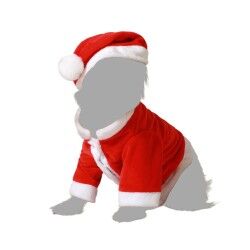 Dog Costume Father Christmas