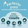 Giocattolo da allenamento Coachi CHASE & TREAT Azzurro