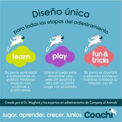 Giocattolo da allenamento Coachi CHASE & TREAT Azzurro