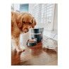 Automatic feeder PetSafe Black Stainless steel