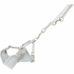 Dog Harness Trixie Light grey