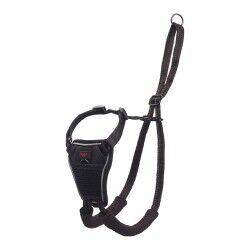 Imbracatura per Cani Company of Animals Halti Taglia S (26-36 cm)