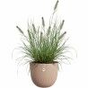 Plant pot Elho Brown 30 x 29,5 x 25 cm