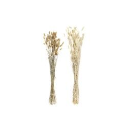 Bunch DKD Home Decor Beige Brown Dried flower (12 x 12 x 76 cm) (2 Units)