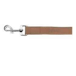 Dog Lead Gloria Oasis 1.5 x 100 cm Brown