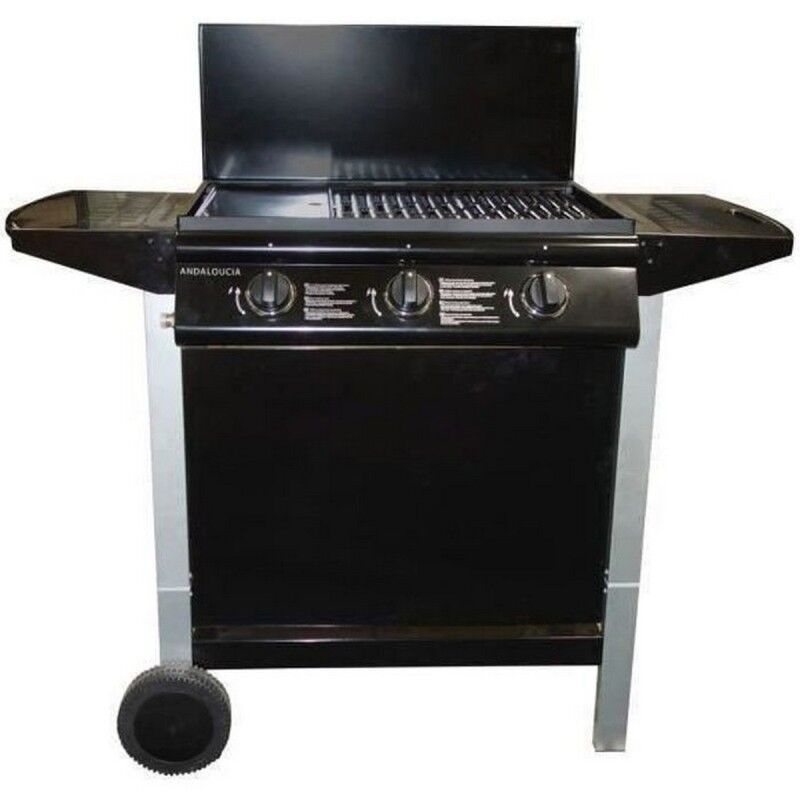 Barbecue a gas Grill Garden 10,5 KW (62 x 42 cm)