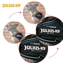 Imbracatura per Cani Julius K9 IDC Nero M