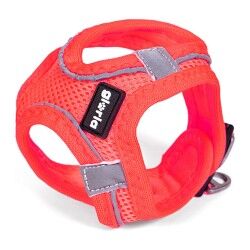 Imbracatura per Cani Gloria Air Mesh Star Rosa Taglia XXS (24-26 cm)